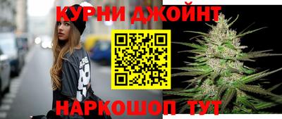 гидропоника Будённовск