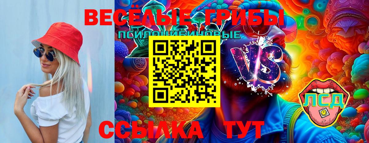магазин продажи   Псилоцибиновые грибы Psilocybe  Нягань  Вход с VPN  Галлюциногенные грибы прущие грибы 